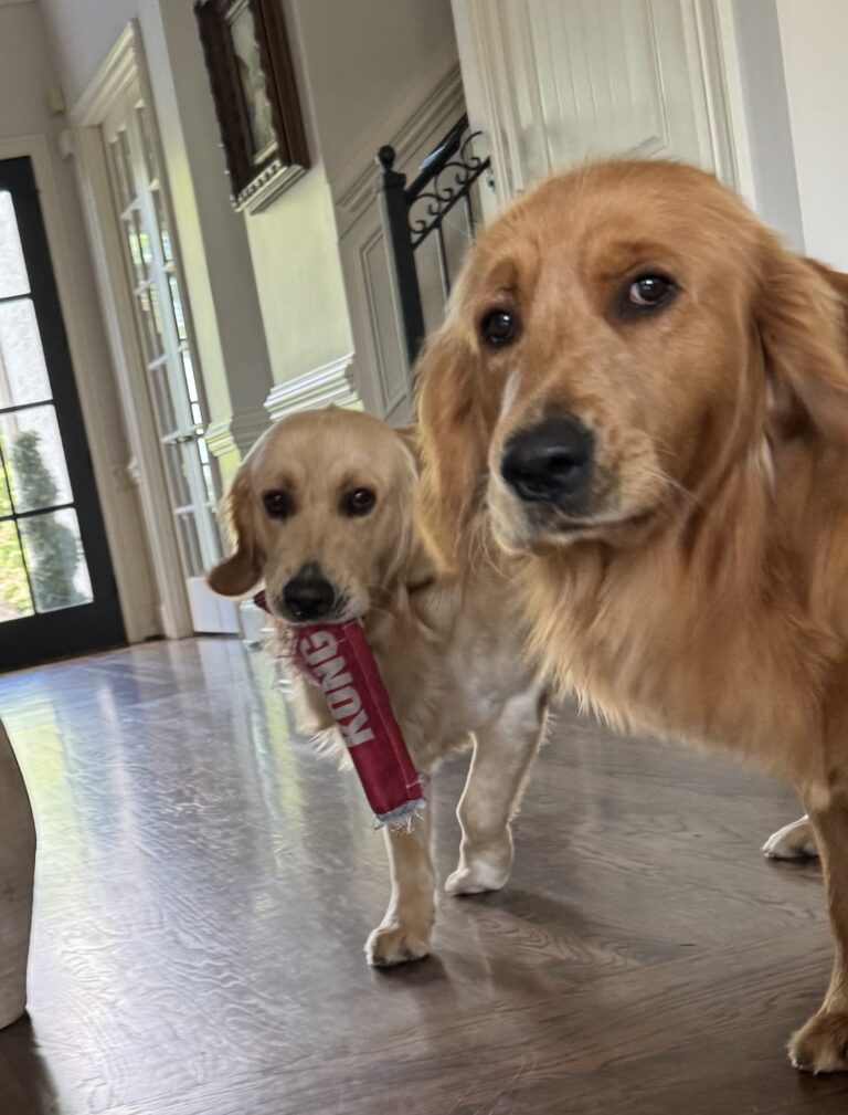we